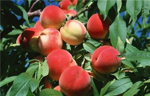 奇門遁甲摘要【五】格局組合