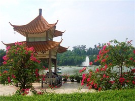 奇門遁甲失物預測要領