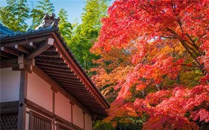 奇門遁甲之測懷孕分娩