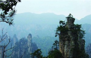 張志春老師和嗎學聲老師的十干克應解析