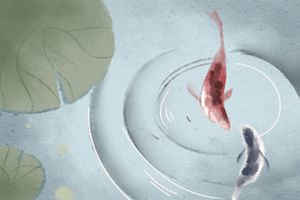 奇門預測疾病,天干落九宮的象意