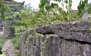 遁甲符應經（上卷B）