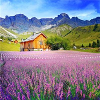 奇門遁甲的27 奇門常用吉格 1