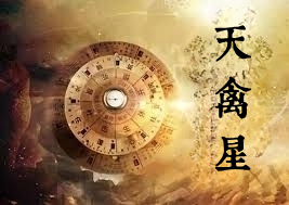 天禽星