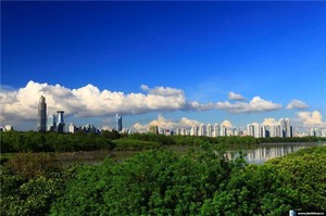 學習奇門遁甲真的會發瘋嗎？