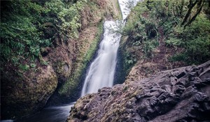 奇門遁甲研究飛盤六親斷揭秘