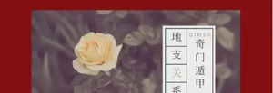 奇門遁甲十二地支之間的作用關係