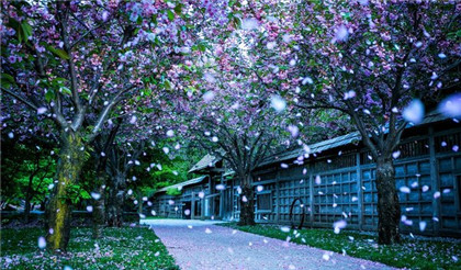 論奇門遁甲主客關係的應用(1)