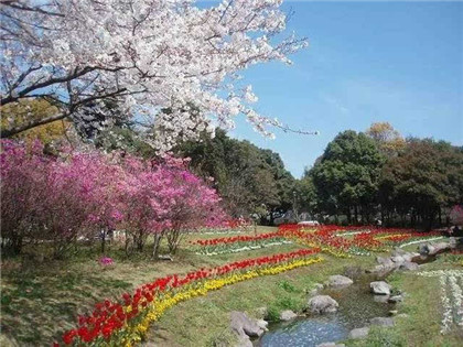 論奇門遁甲主客關係的應用(2)
