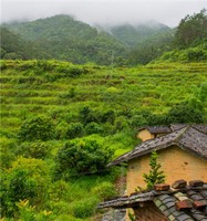 奇門預測終身運氣秘術，出生時間年月日時來起局