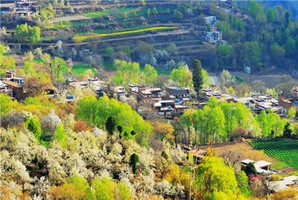 解密陰盤遁甲和六壬神課