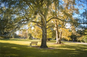 奇門遁甲真傳基礎知識應用