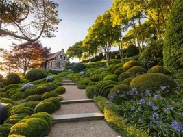 《太玄數奇門預測精要》前言摘選