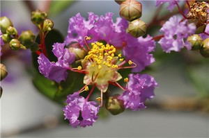 奇門遁甲十天干旺衰吉凶論