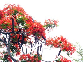 奇門遁甲預測小區醫院搬遷例項