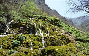 奇門遁甲分類預測選用神，測事業和測婚姻