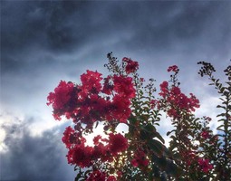 奇門遁甲預測尋人的原則，走失看六合，出走看杜門