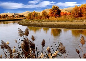 奇門遁甲秘傳,奇門來客接引法