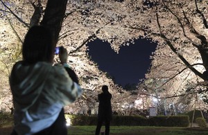 奇門遁甲鳴體系用神必觀訣