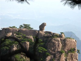 奇門遁甲秘籍全書裡面的金口訣，論十方星將生克