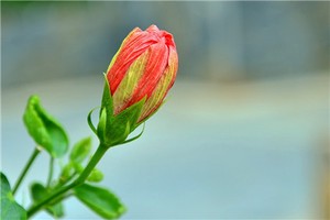 奇門遁甲需熟練記住的基礎內容二