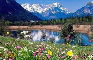 奇門遁甲“十精為使用為貴，起宮天乙用無疑”真解