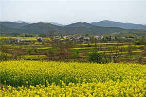 奇門遁甲預測女兒、女婿能否離婚