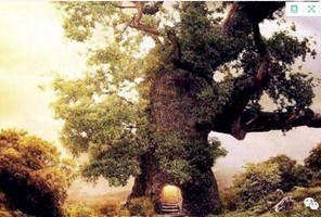 學奇門遁甲28，奇門常用兇格　1