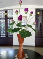 奇門遁甲先後天八卦的波粒二象性精蘊