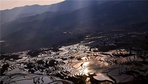 《奇門大宗直指敘》精校版本系列二