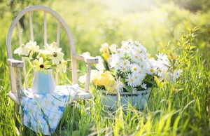 徐道符著【御定奇門寶鑑】（二）