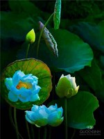 奇門精粹——個人狀態