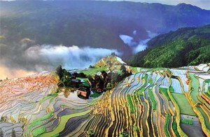 奇門遁甲——用神落宮狀態代表