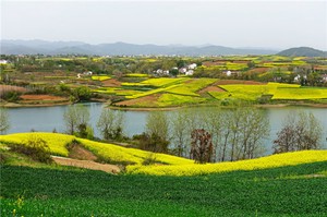 奇門遁甲三奇應靜和三奇路應彙總