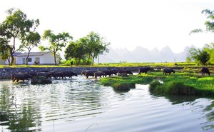 透過奇門遁甲正確判斷一家企業的經營狀況的方法