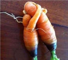 奇門雜談：“陰陽定律”告訴我們：女本溫柔