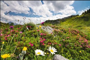 奇門遁甲格局新解 戊＋戊為止，出行遇之，堵車