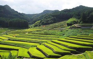 奇門遁甲八門的吉凶作用