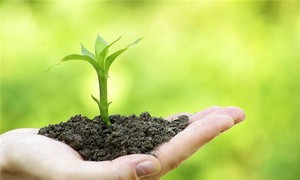 奇門遁甲~如何選擇吉時吉方