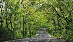 奇門遁甲九宮數字變化規律探秘二