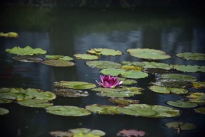 奇門遁甲一位朋友預測什么時候能去公司工作