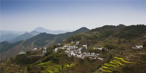 奇門遁甲 奇門起局分置潤和無潤兩大派茅山法和拆補法之優劣對照