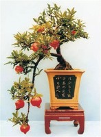 奇門遁甲天盤、地盤的作用技巧