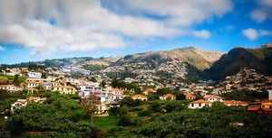 學習奇門多年，對奇門穿壬的認識