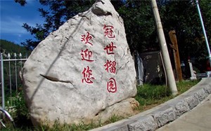 九星配卦如何斷流年？