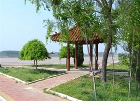 奇門遁甲中天衝星的真正含義