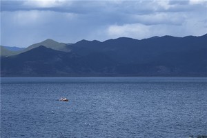 怎么學奇門遁甲的19,九星的資訊特徵1