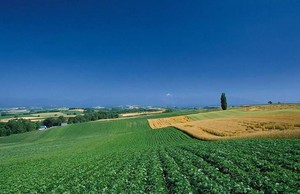 奇門遁甲學員答疑七：天時、地利、人和的判斷真訣