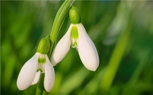 《黃石公奇門神符經七十二局》起局解秘