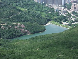奇門躲星密法，奇門方面的避災星方法
